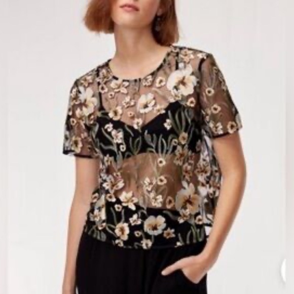 Little Moon Tops - Aritzia Little Moon Floral Embroidered Sheer Top